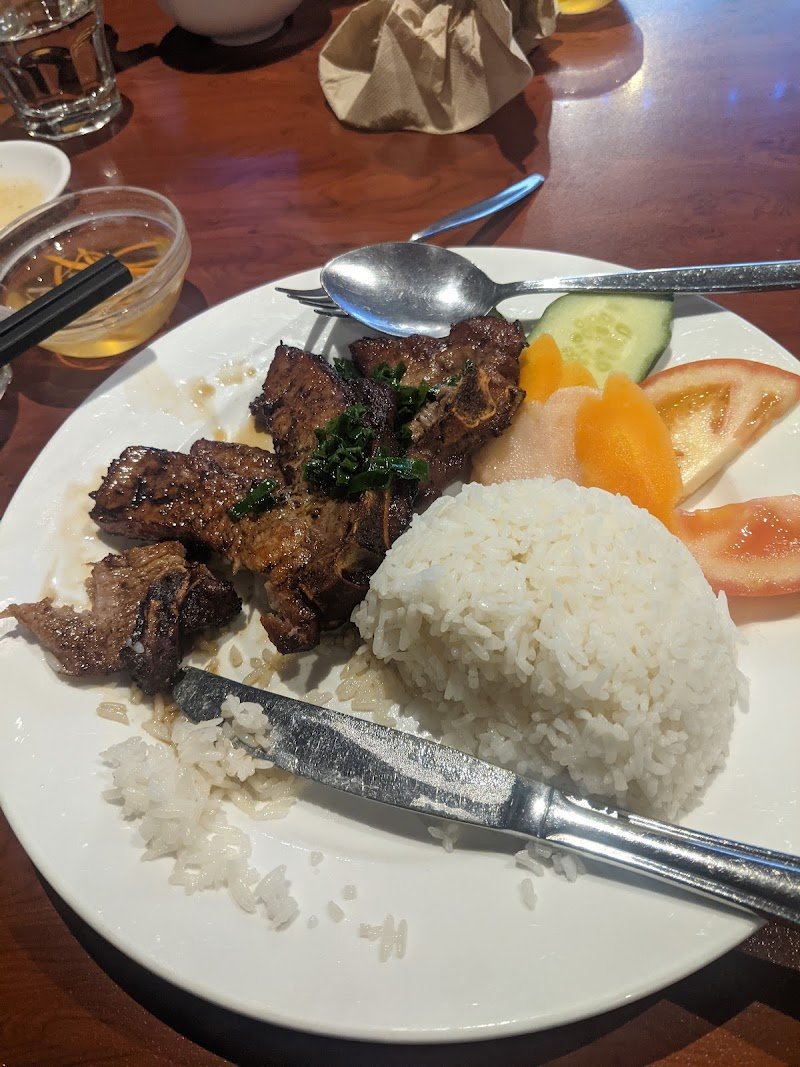 Coconut Palms photo 8