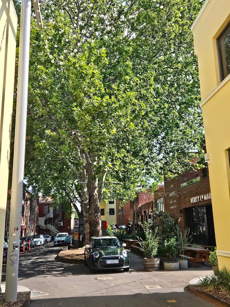 Petite Saigon photo 10