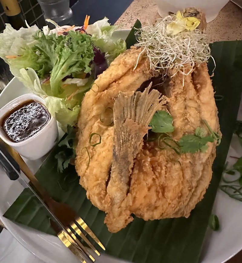 Tide Bar and Kitchen photo 6